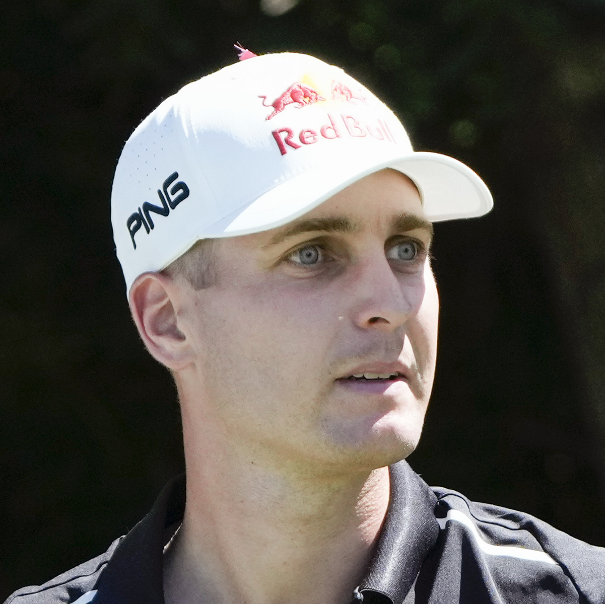 Player image of Matthias Schwab